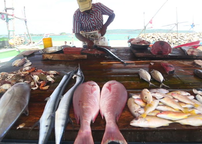 Hikkaduwa Fish market