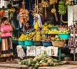 Fruit market in Galle