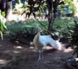 Guruge 3 Nature Park