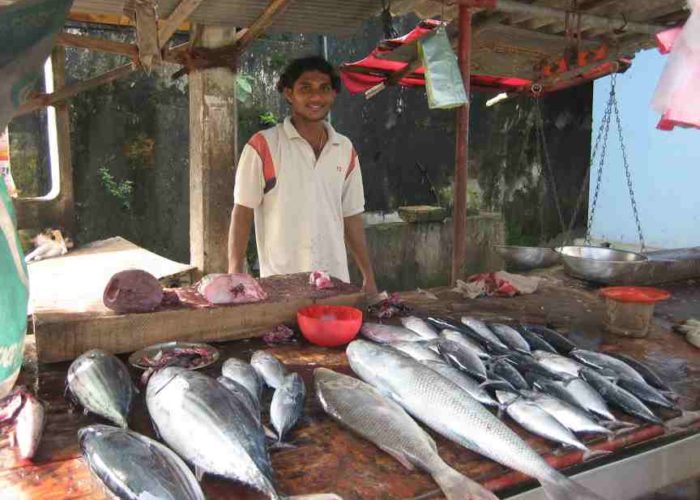 Hikkaduwa Fish market