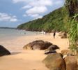 Jungle beach Galle 2