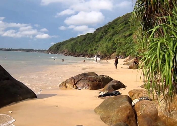 Jungle beach Galle 2