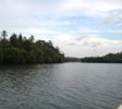 Koggala Lake 22