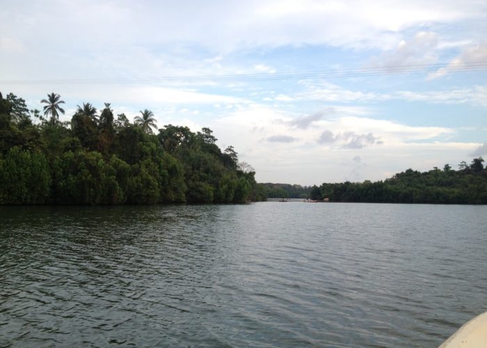 Koggala Lake 22