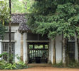Lunuganga 1 Garden