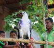 Pinnawala Open Zoo 20