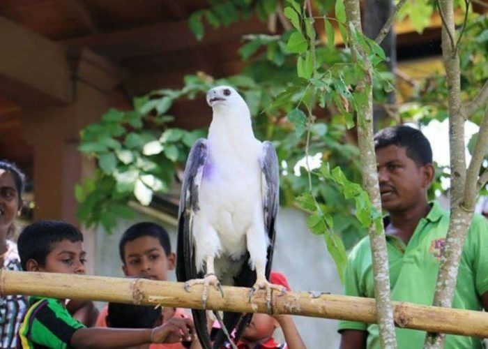 Pinnawala Open Zoo 20