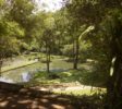 Lunuganga Garden 1