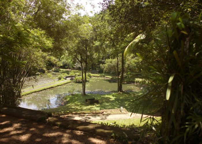 Lunuganga Garden 1