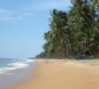 Beach Wadduwa srilanka