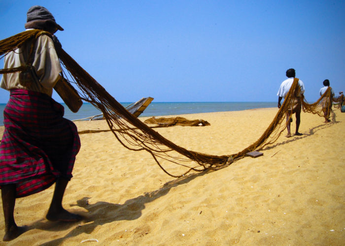 Beach Wadduwa fish