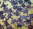 Sea Turtle Farm & Hatchery 12