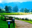 Gregory Lake in Nuwara Eliya 4
