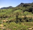 Nuwara Eliya town