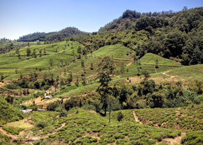 Nuwara Eliya town
