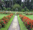 Victoria Park in Nuwara