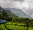 Sri-Lanka Nuwara Eliya train
