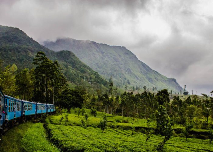 Sri-Lanka Nuwara Eliya train