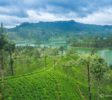 About Ceylon Srilankafinder